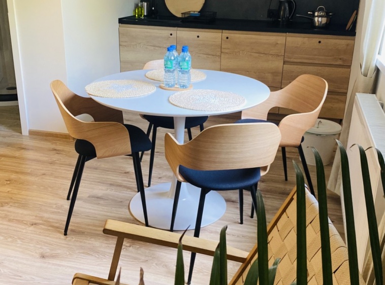 Willa Liliowa Apartament (Kuchnia z  jadalnią)