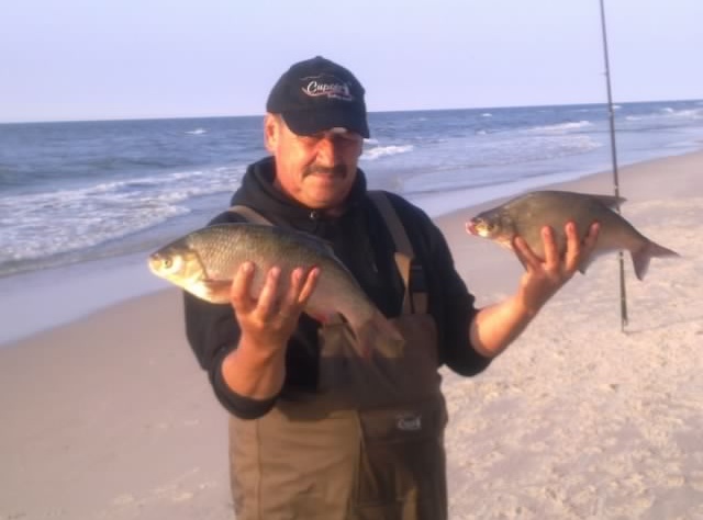 Surfcasting w Dębkach jaź z plaży