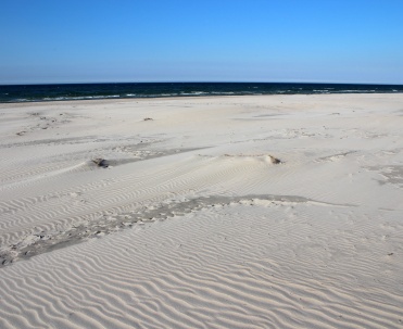 Plaża Dębki – szerokie wybrzeże otoczone pięknymi wydmami