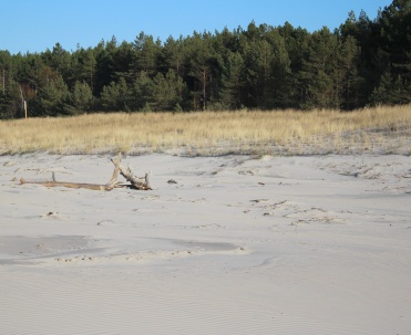 Spacer po szerokiej plaży w Dębkach – kontakt z naturą nad morzem