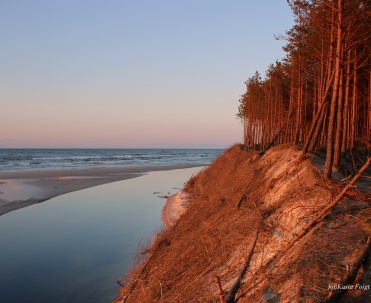 Widok na ujście Piaśnicy w Dębkach – naturalny pomnik piękna