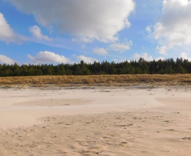 Dębki – szeroka, piaszczysta plaża otoczona naturą