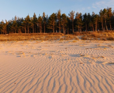 Dębki – szeroka plaża z miękkim piaskiem i widokiem na horyzont