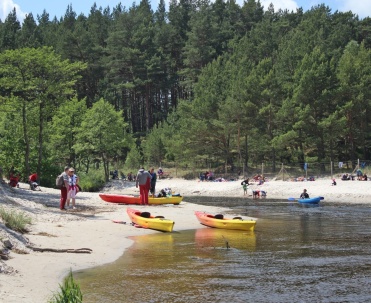 Kajaki w Dębkach – malowniczy spływ Piaśnicą dla każdego