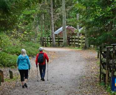 W lesie na wytyczonych scieżkach można uprawiać Nordic Walking