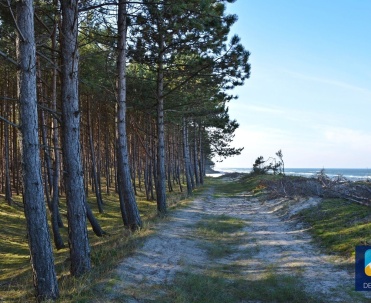 Dębki- ścieżka wzdłuż plaży przy lesie