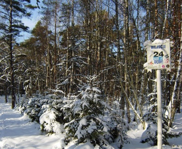 Dębki zimą – natura, cisza i magiczne widoki na zamarzniętym wybrzeżu